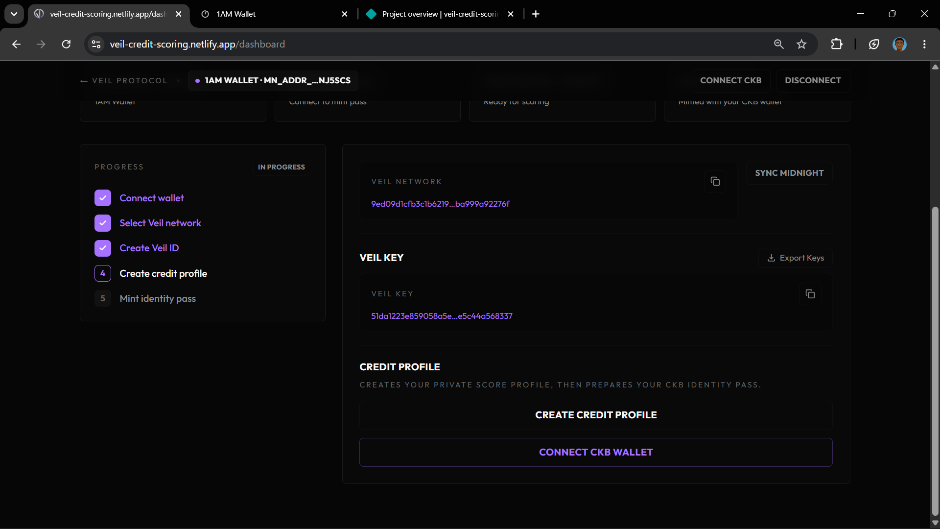 Veil Key section on dashboard with Export Keys and Connect CKB Wallet